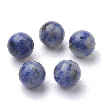 Natural Blue Spot Jasper Beads G-S288-01-12mm-1