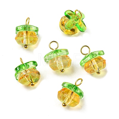 Handmade Lampwork Charms LAMP-D019-01B-1