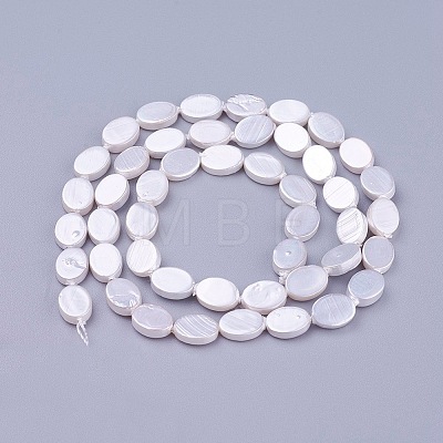 Shell Pearl Beads Strands BSHE-L041-03-1