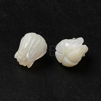 Natural Trochid Shell/Trochus Shell Beads BSHE-E026-03-1