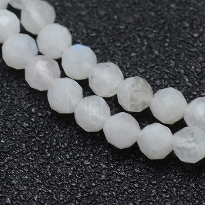 Natural Rainbow Moonstone Beads Strands X-G-E411-08-3mm-1