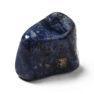 Natural Sodalite Beads G-O029-08P-1