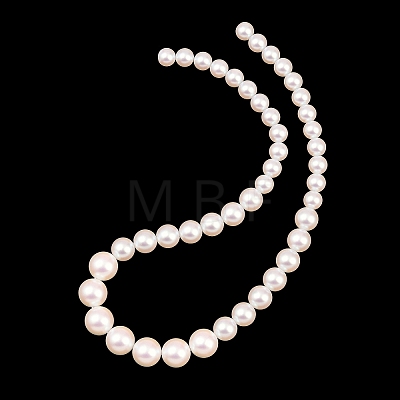 Electroplated Glass Pearl Graduated Beads Strands BSHE-C011-03A-1
