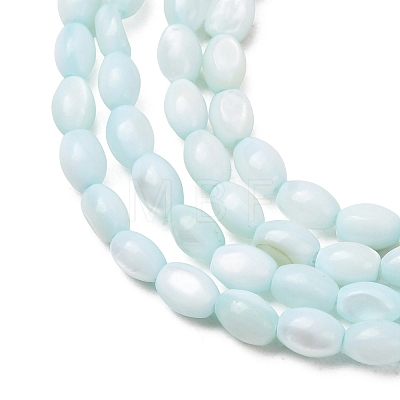 Dyed Natural Freshwater Shell Beads Strands SH-CBA2978-06C-1