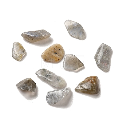 Natural Labradorite Beads G-O103-33-1