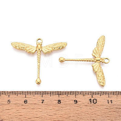 304 Stainless Steel Pendants STAS-T068-47G-1