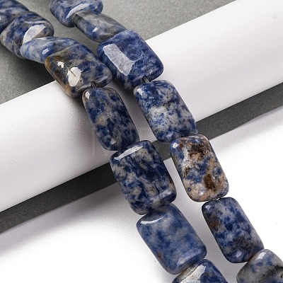 Natural Blue Spot Jasper Beads Strands G-T047-B10-01-1