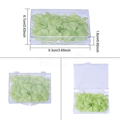 Transparent Plastic Bead Containers CON-WH0019-04-1