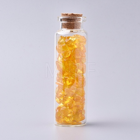 Glass Wishing Bottle DJEW-L013-A07-1