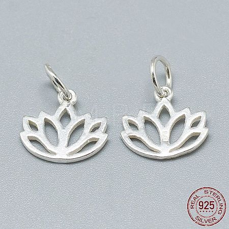 925 Sterling Silver Charms X-STER-T002-277S-1