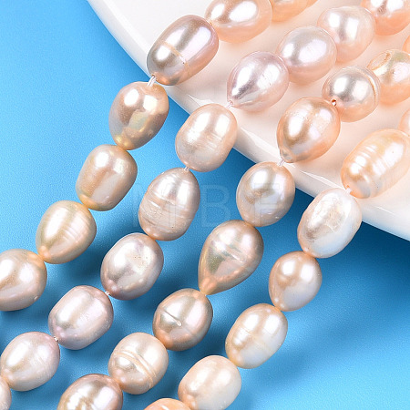 Natural Cultured Freshwater Pearl Beads Strands PEAR-N012-08L-1