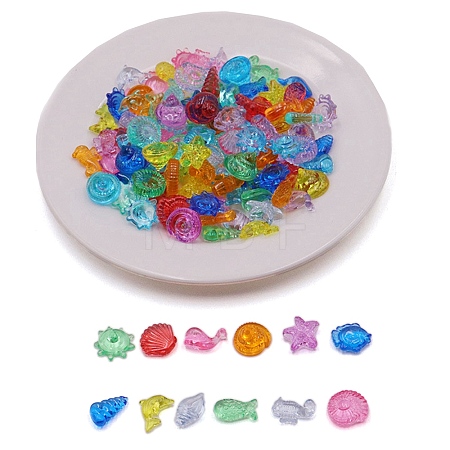 Transparent Acrylic Beads OACR-WH20001-05B-1
