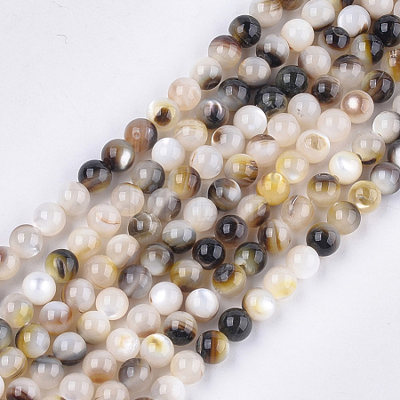 Black Lip Shell Beads Strands SHEL-S274-92C-1