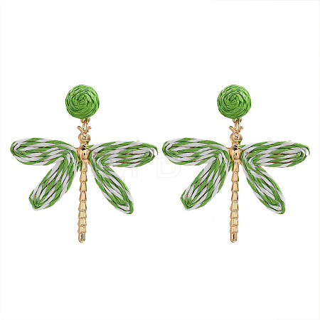Alloy & Raffia Dangle Stud Earrings FS-WGCB008-07-1