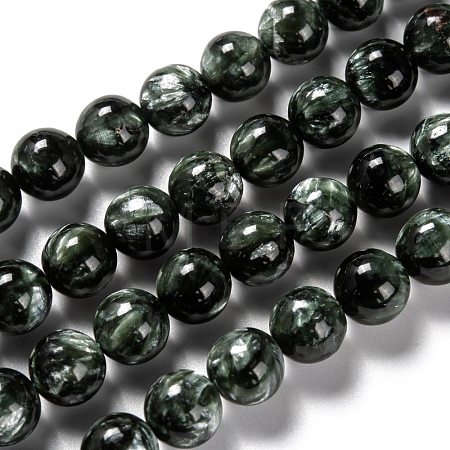 Natural Seraphinite Beads Strands G-E557-22B-1