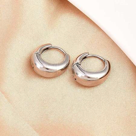 316 Surgical Stainless Hoop Earrings EJEW-C160-06A-P-1