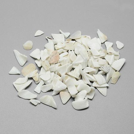 Natural Sea Shell Beads SSHEL-R036-016-1