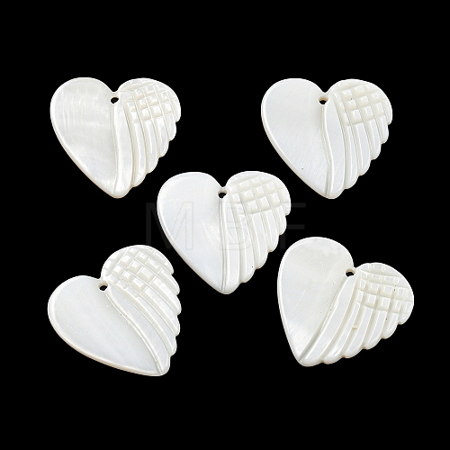 Natural Freshwater Shell Pendants BSHE-G034-17-1