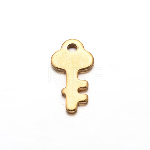 Key 304 Stainless Steel Charms STAS-M208-18-1