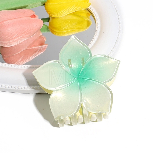 Gradient Color Plastic Claw Hair Clips PW-WG7DD1F-06-1