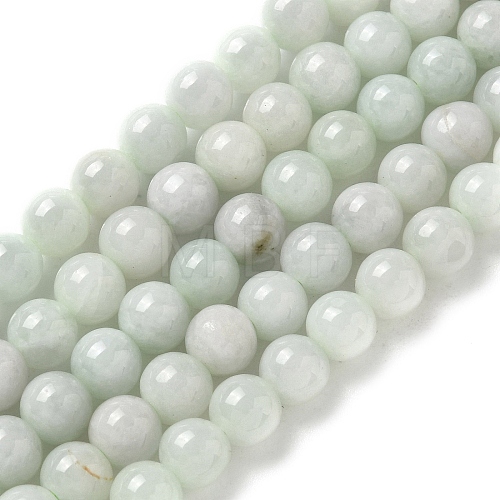 Natural Myanmar Jadeite Beads Strands G-L595-C01-01B-1