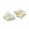 Acrylic Charms MACR-C012-01KCG-18-3