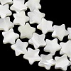Natural Trochid Shell/Trochus Shell Beads Strands SH-CBA2978-17B-3