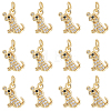 12Pcs Brass Micro Pave Cubic Zirconia Charms KK-GA0002-53-1