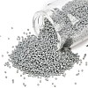 MIYUKI Delica Beads SEED-MY11-DB2281-1