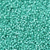 MIYUKI Delica Beads SEED-X0054-DB0627-3
