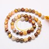Natural Crazy Lace Agate Beads Strands G-G542-8mm-10-2