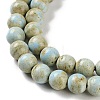 Natural Rainbow Alashan Agate Beads Strands G-NH0022-A01-01-4