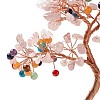 Natural Gemstone Tree Display Decoration DJEW-G027-06RG-02-3