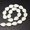 Natural Trochid Shell/Trochus Shell Beads Strands SSHEL-K009-01-A-2