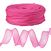 Polyester Mesh Ribbons SRIB-TAC0002-28B-03-1-3