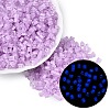 FGB Grade A Frosted Glass Seed Beads SEED-Q040-04A-05-1