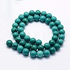 Natural Magnesite Beads Strands G-I199-33-6mm-2