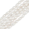 Electroplated Shell Pearl Beads Strands BSHE-Z009-10B-2