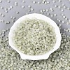 Frosted Glass Seed Beads SEED-N012-01E-2