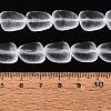 Frosted Handmade Lampwork Beads Strands LAMP-Q041-06F-4