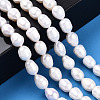 Natural Cultured Freshwater Pearl Beads Strands PEAR-N012-07J-6
