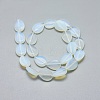 Opalite Beads Strands G-G793-01B-04-2