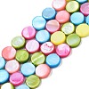 Freshwater Shell Beads Strands SHEL-T009-B16-06-1