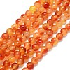 Natural Malaysia Jade Beads Strands G-B165-C05-10mm-2