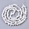 Natural White Moonstone Beads Strands X-G-S363-018-3