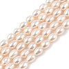 Natural Cultured Freshwater Pearl Beads Strands PEAR-I007-01A-03A-2