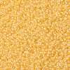 MIYUKI Round Rocailles Beads SEED-G008-RR0202-3