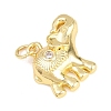 Brass Micro Pave Clear Cubic Zirconia Pendants KK-H273-48G-03-2
