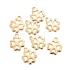 201 Stainless Steel Charms STAS-K217-95G-3