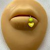 316L Surgical Stainless Steel with Acrylic Lip Rings FS-WG019E1-12-1